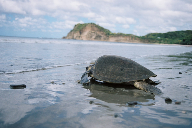 1027509_1027509-R1-041-19